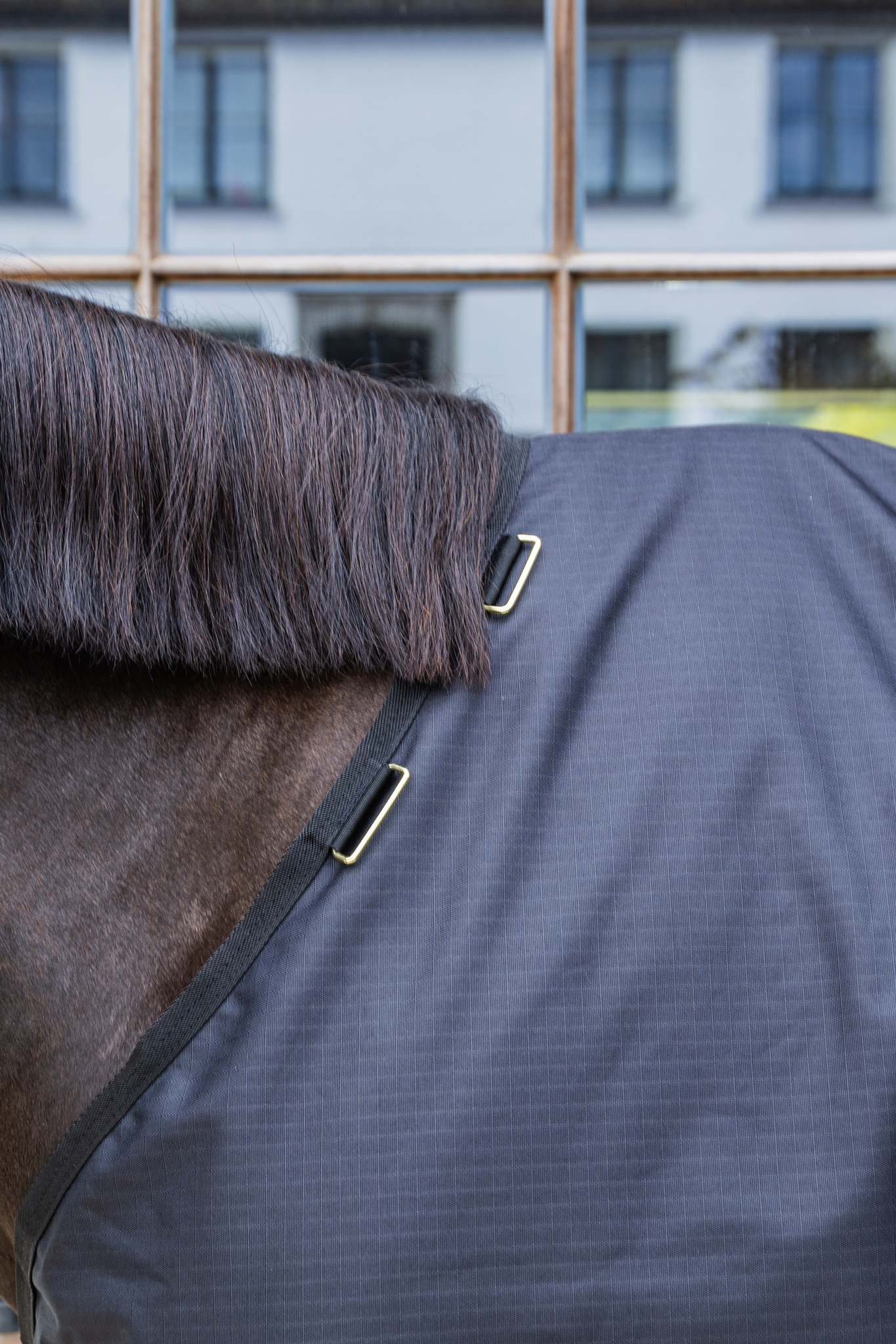 KENTUCKY® HORSEWEAR Winterdecke All Weather Waterproof Classic 0 g, schwarz Nahaufnahme der schwarzen All Weather Weidedecke Classic am Pferd mit sichtbarer Mähne und goldfarbenen Beschlägen.