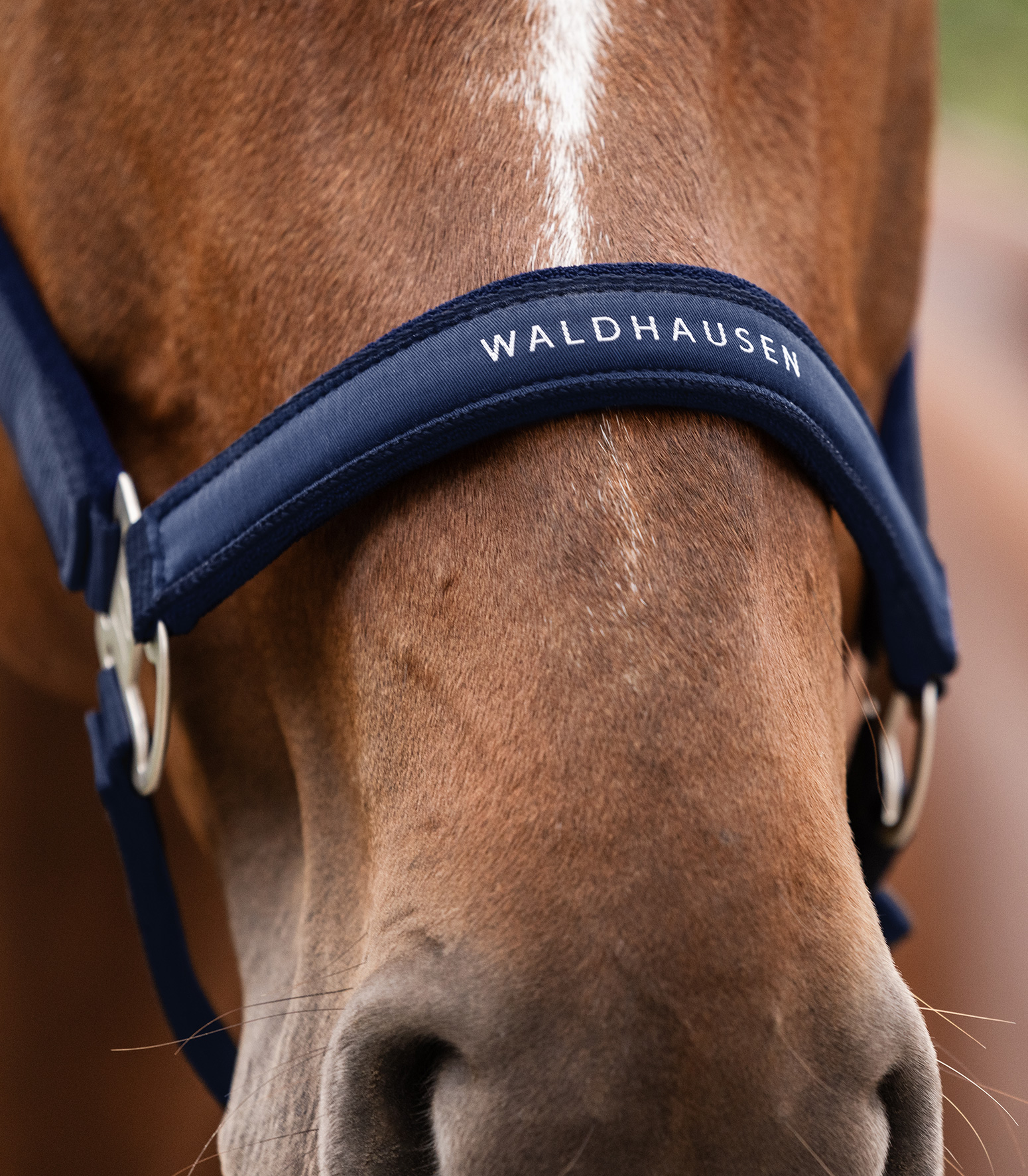 WALDHAUSEN Halfter Athletic, nachtblau