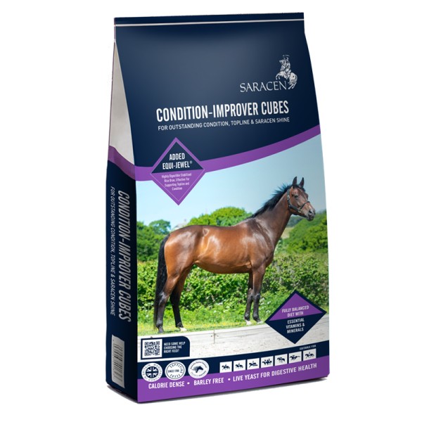 SARACEN CONDITION IMPROVER CUBES