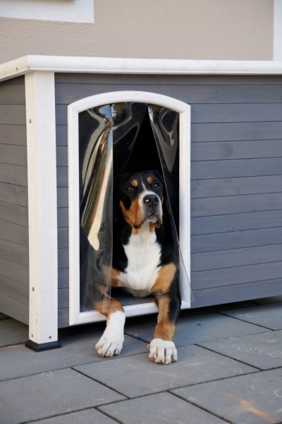 KERBL Hundehütte Kenny 113 x 77 x 81 cm