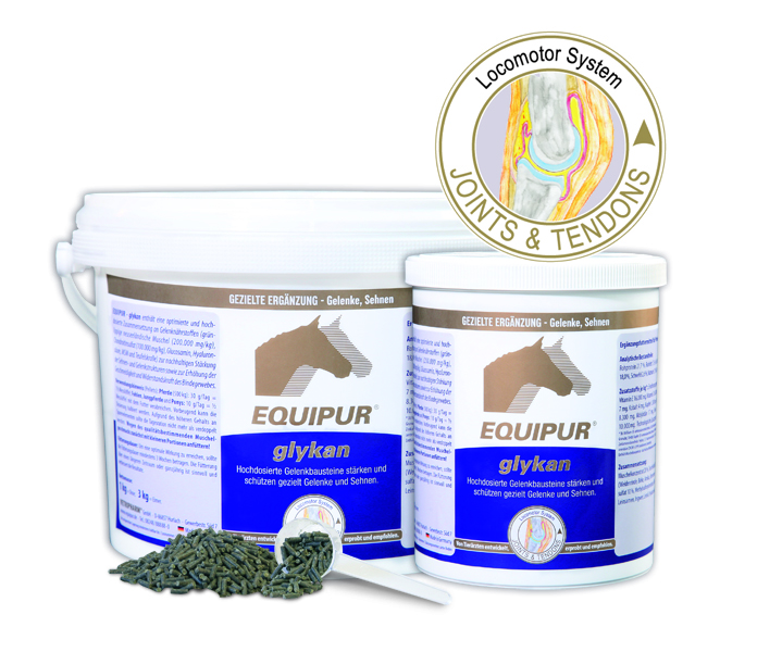 EQUIPUR® glykan