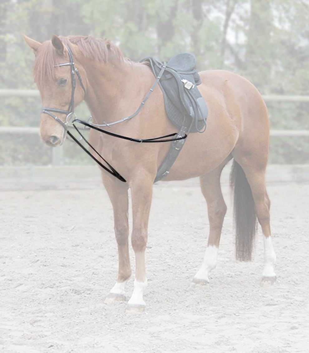 WALDHAUSEN Dreieckszügel Leder