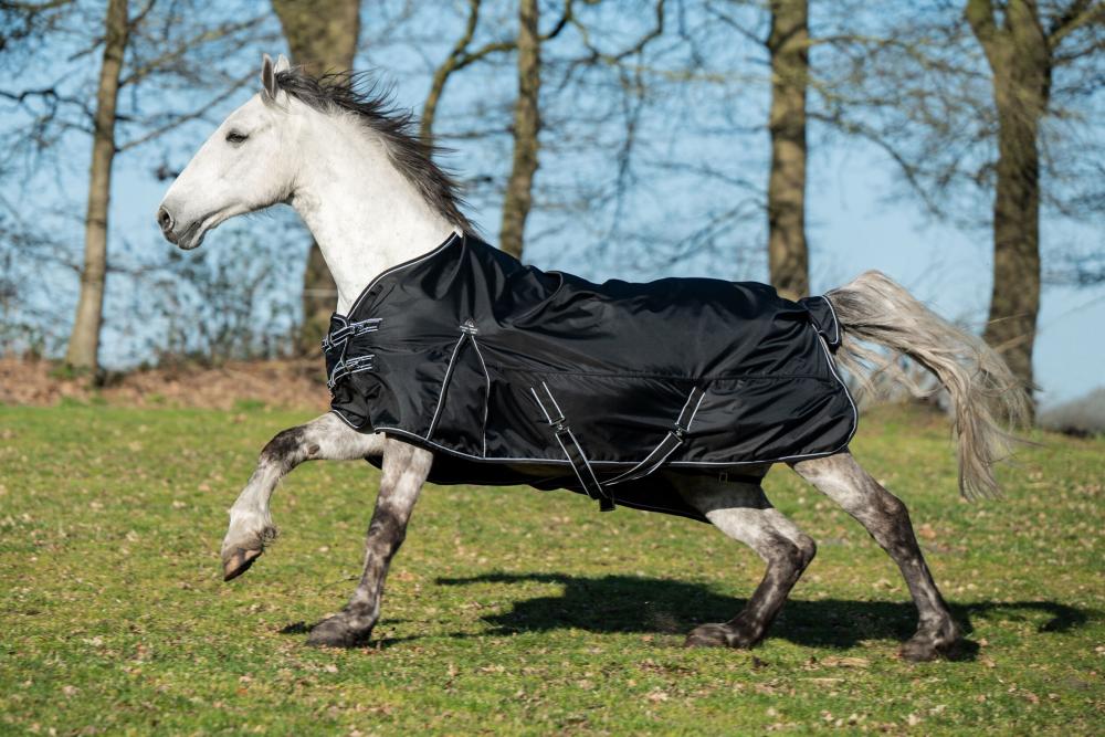 HKM Weidedecke Premium - 1680D mit glattem Futter, schwarz Ein Schimmel trabt auf einer grünen Wiese und trägt die schwarze HKM Weidedecke Premium glatt in der Seitenansicht