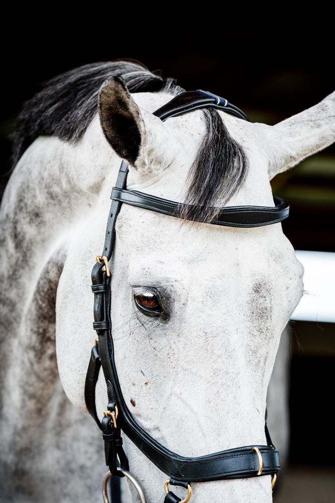 HORSEWARE® Micklem® 2 Multi Bridle, black