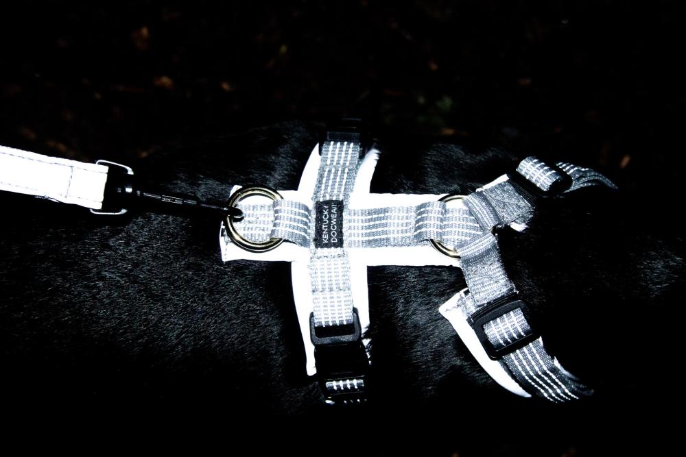 KENTUCKY® DOGWEAR Hundegeschirr Aktiv reflektierend, silber