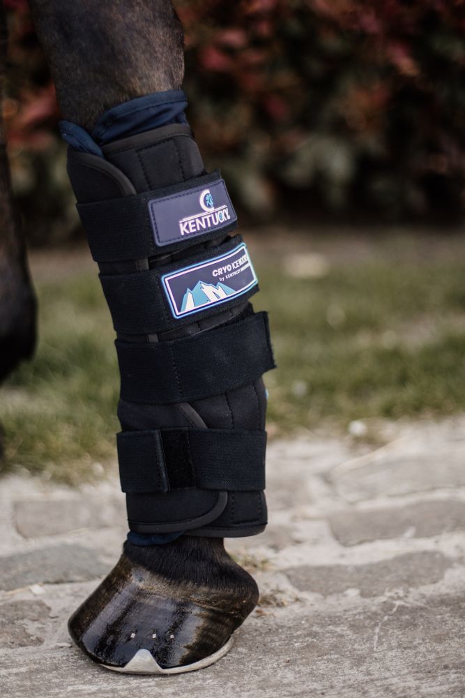 KENTUCKY® HORSEWEAR Kühlgamaschen Cryo Ice Boots