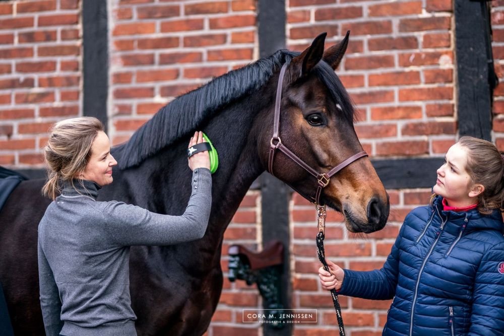 BENSE & EICKE Soft-Stiegel