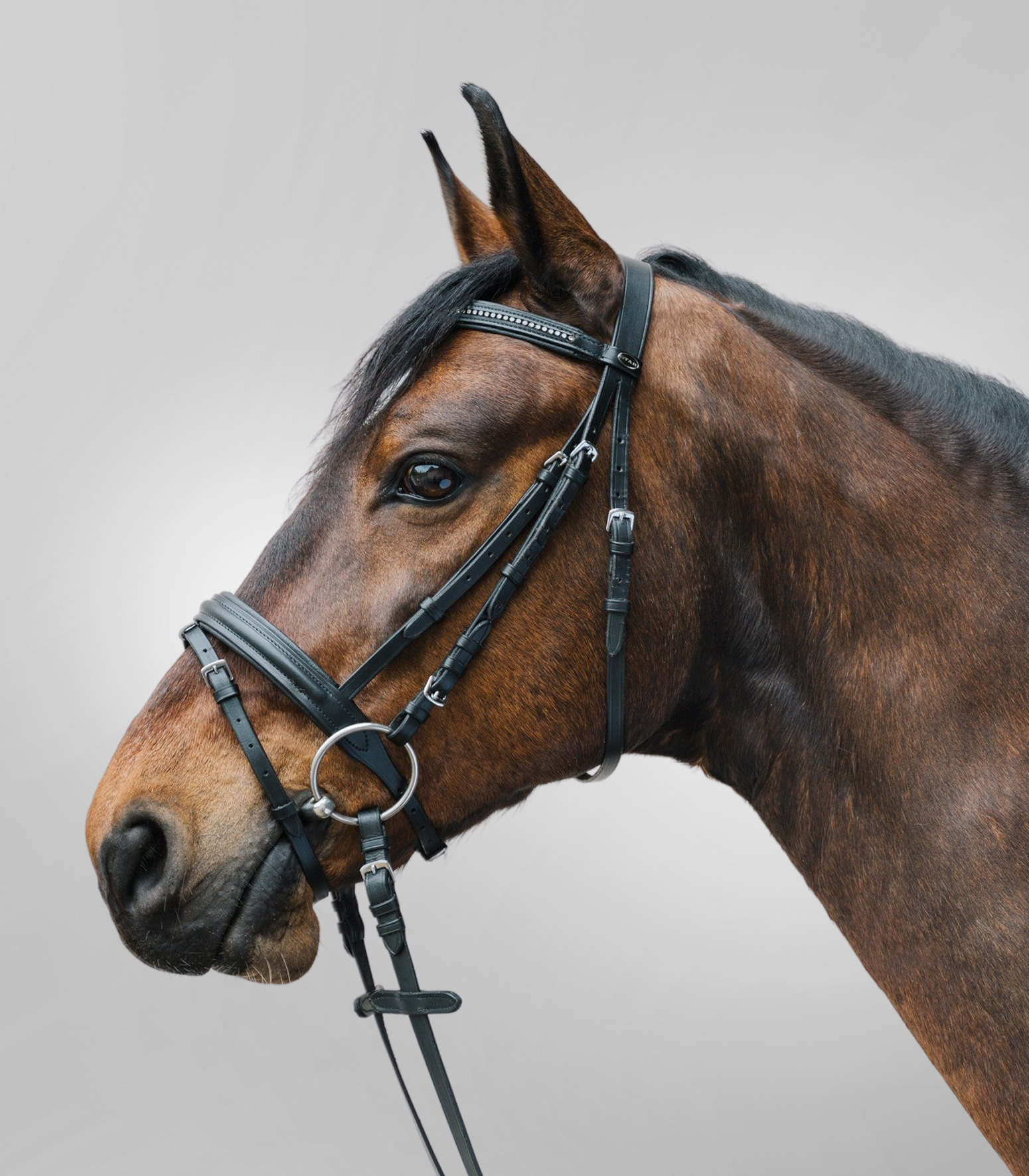 WALDHAUSEN STAR Trensenzaum Diamond, schwarz