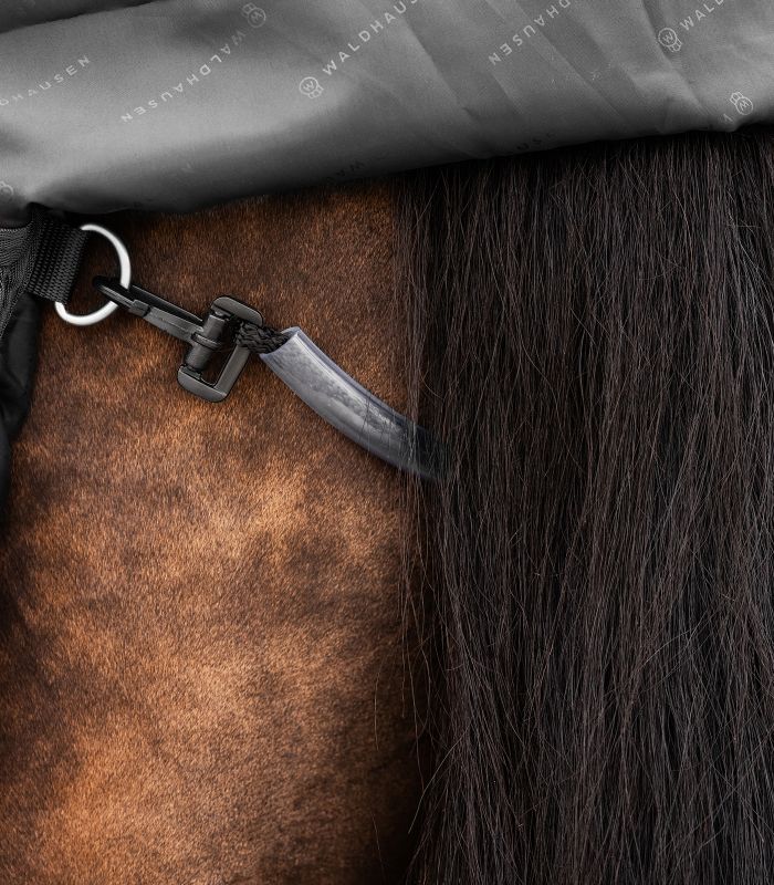 WALDHAUSEN SCANDIC Multi-Layer Outdoordecke, 250 g / 100 g, schwarz Nahaufnahme des abnehmbaren Schweifriemens mit Karabiner der schwarzen SCANDIC MultiLayer Outdoordecke am Pferd.
