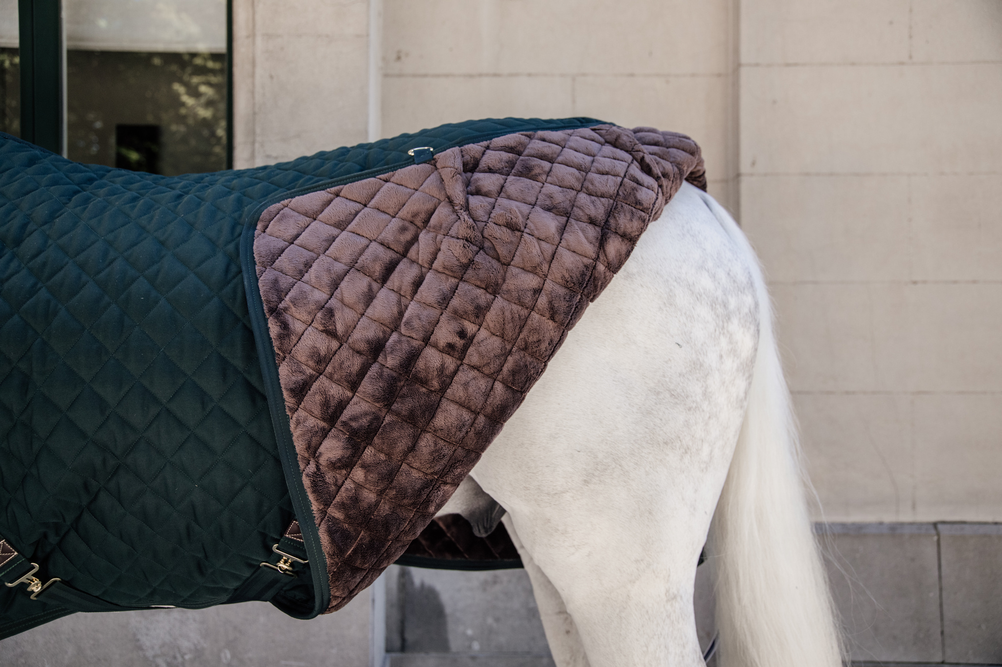 KENTUCKY® HORSEWEAR Stalldecke 400 g, dunkelgrün