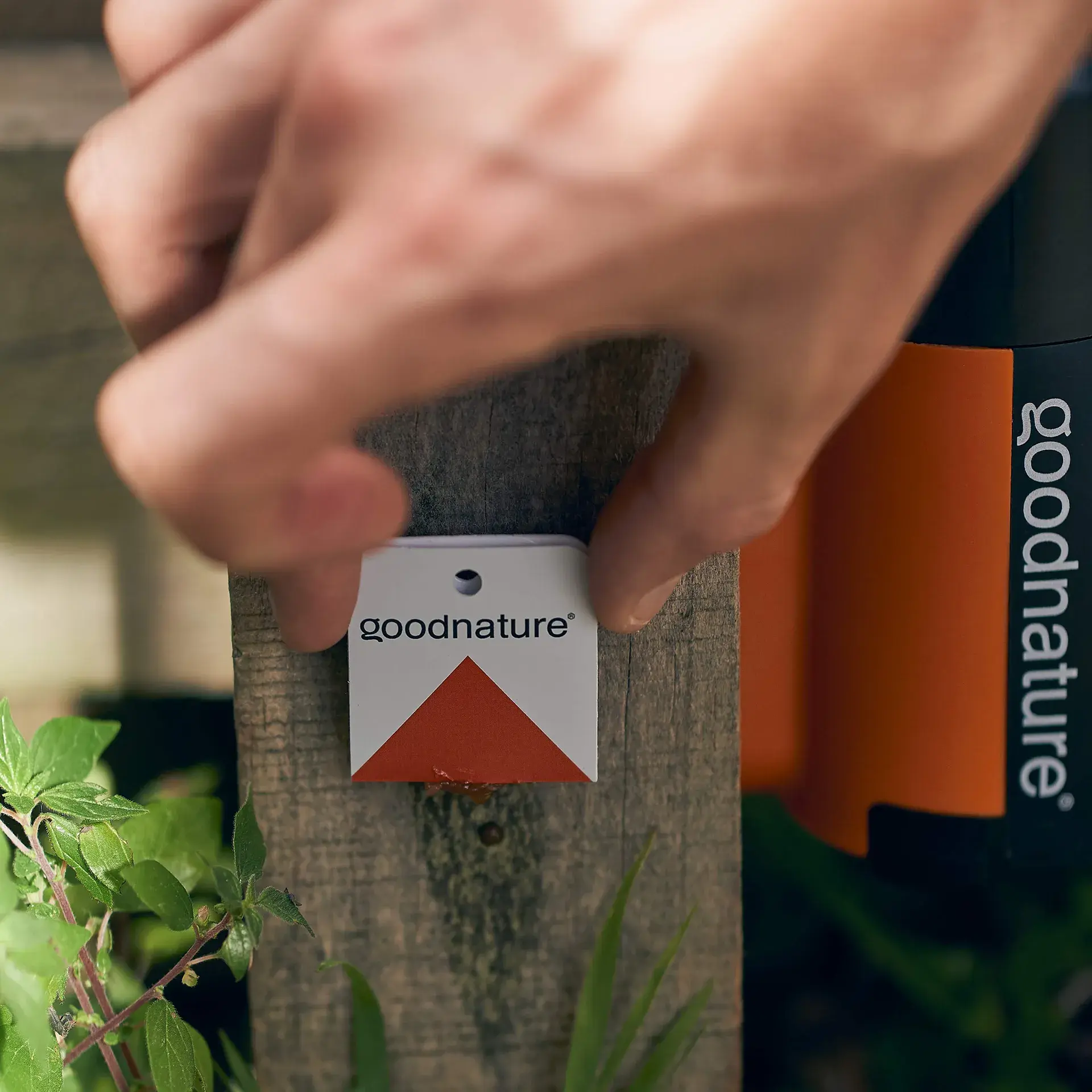 GOODNATURE® Nagetiererkennungskartenset mit Lockstoff im 25er-Pack