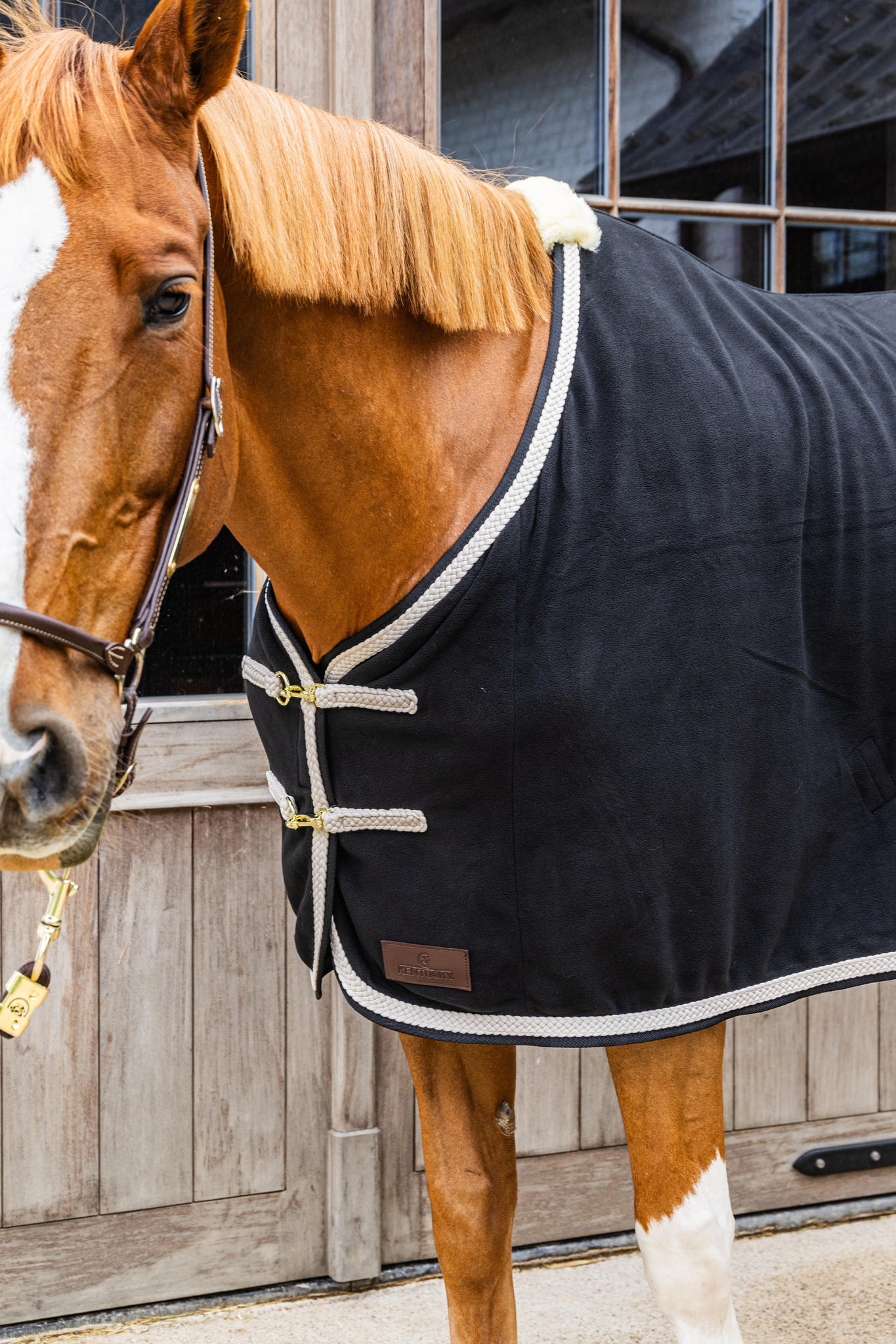 KENTUCKY® HORSEWEAR Abschwitzdecke Fleece geflochtene Kordel, schwarz Schwarze Abschwitzdecke aus Fleece mit beiger geflochtener Kordel und Widerristpolster an einem braunen Pferd.