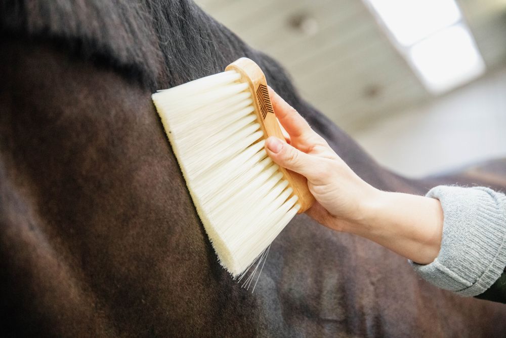 KENTUCKY® GROOMING DELUXE Middle Brush Long, natur