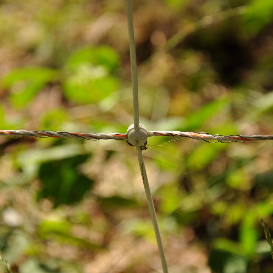 GALLAGHER Wildschwein-Netz, 75 cm, 50 m