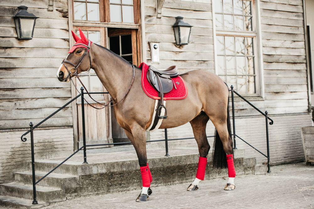 KENTUCKY® HORSEWEAR Fliegenhaube Wellington Velvet, rot