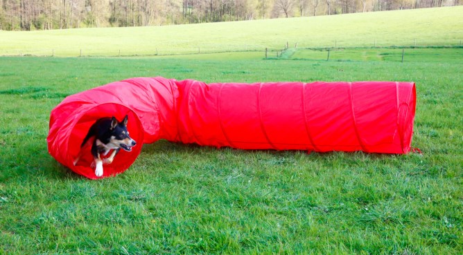 KERBL Agility Hundetunnel rot, 5m, 60cm