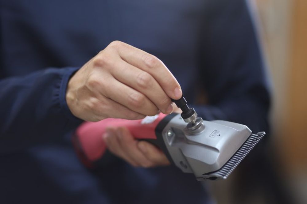 AESCULAP Präzisionsjustierhilfe Torqui für Rinder-/Pferde-Schermaschinen