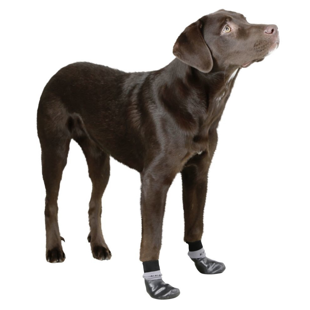 Hundesocke Susi