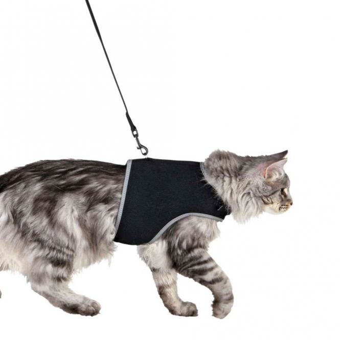 Softgeschirr mit Leine XL - schwarz