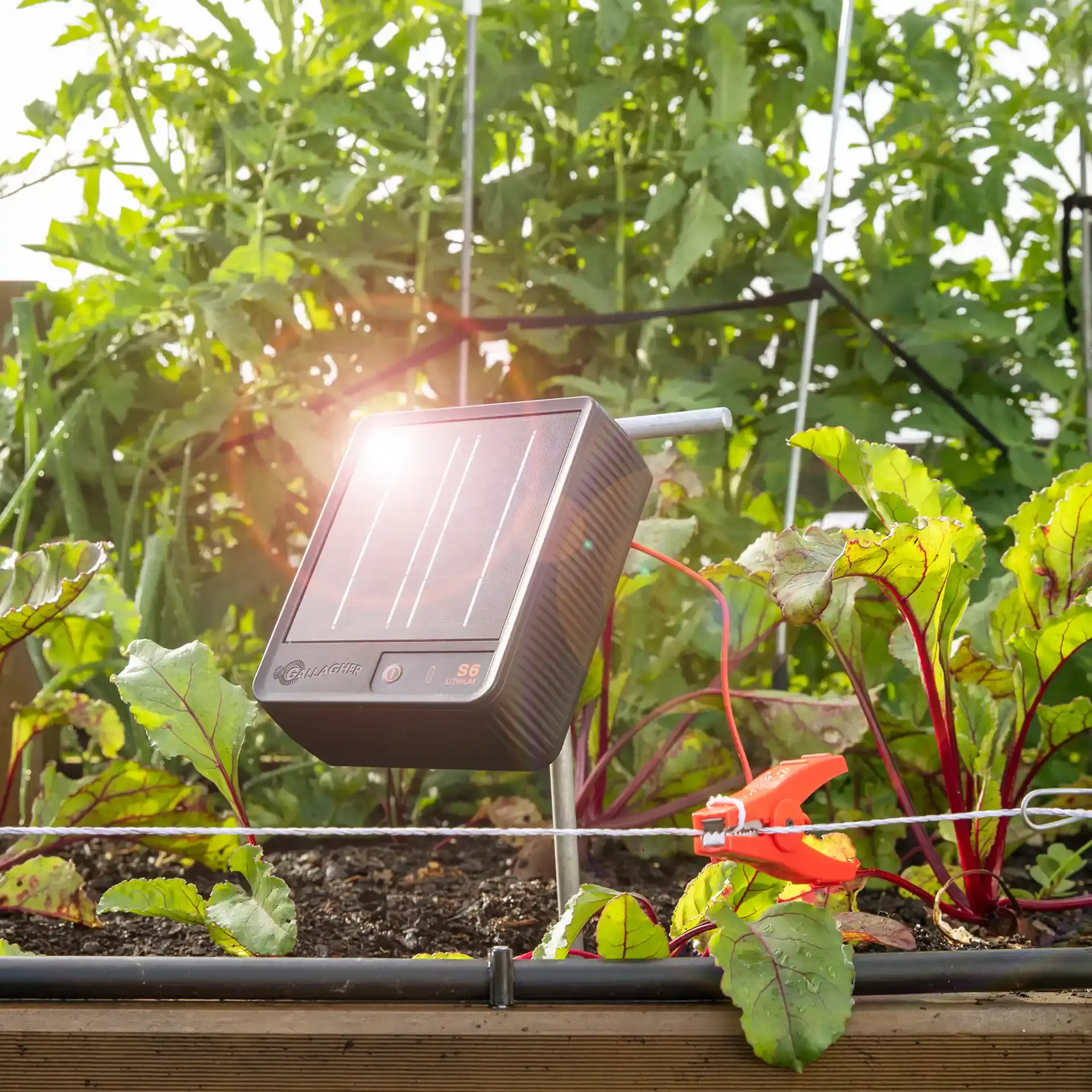 GALLAGHER Teich und Garten Kit 50 cm S6 Solar