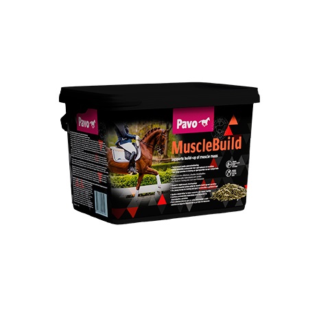 PAVO MuscleBuild