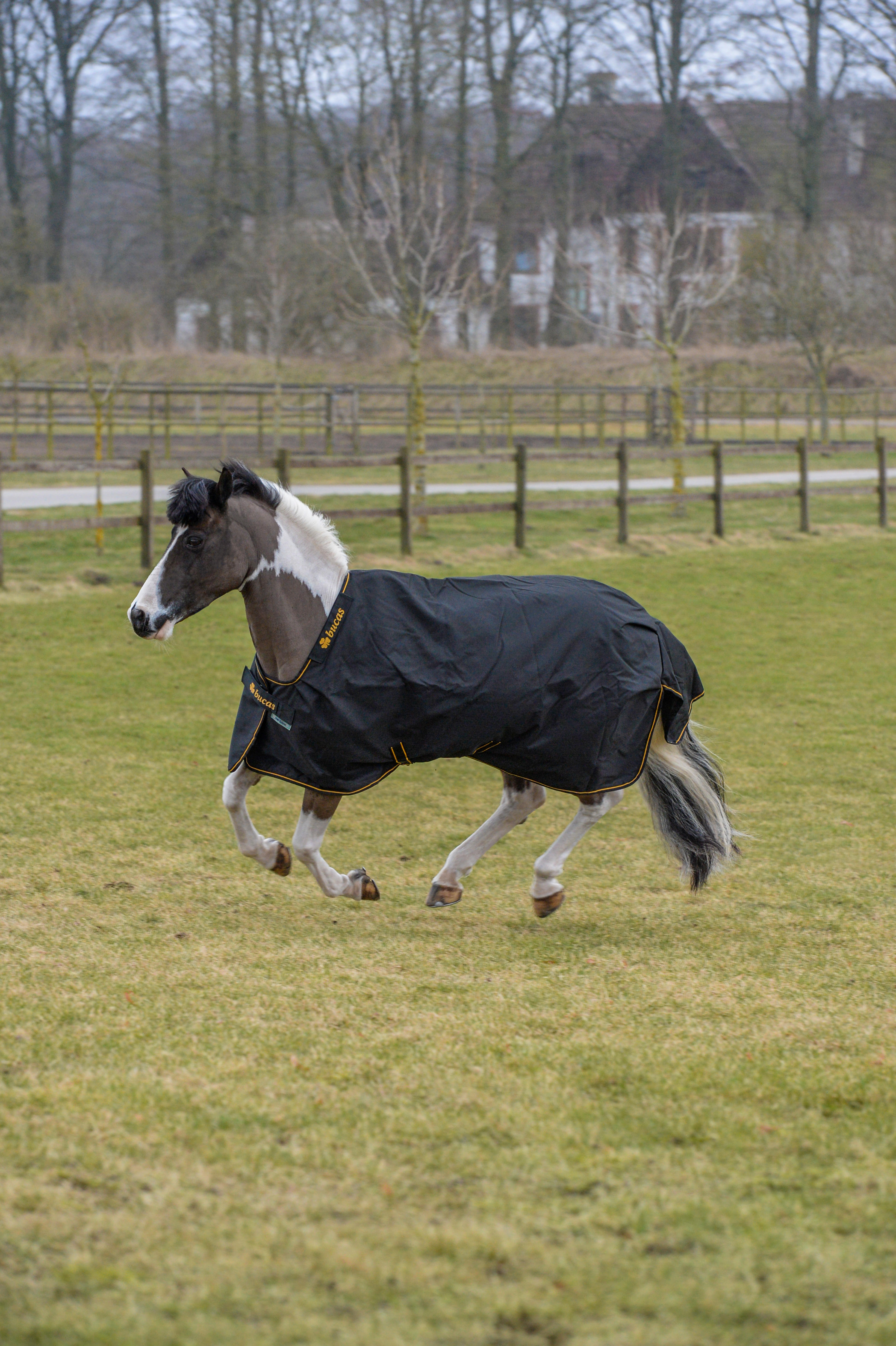 BUCAS Irish Turnout Light 50 g