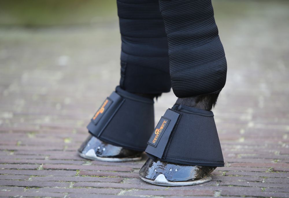 KENTUCKY® HORSEWEAR Hufglocken Solimbra