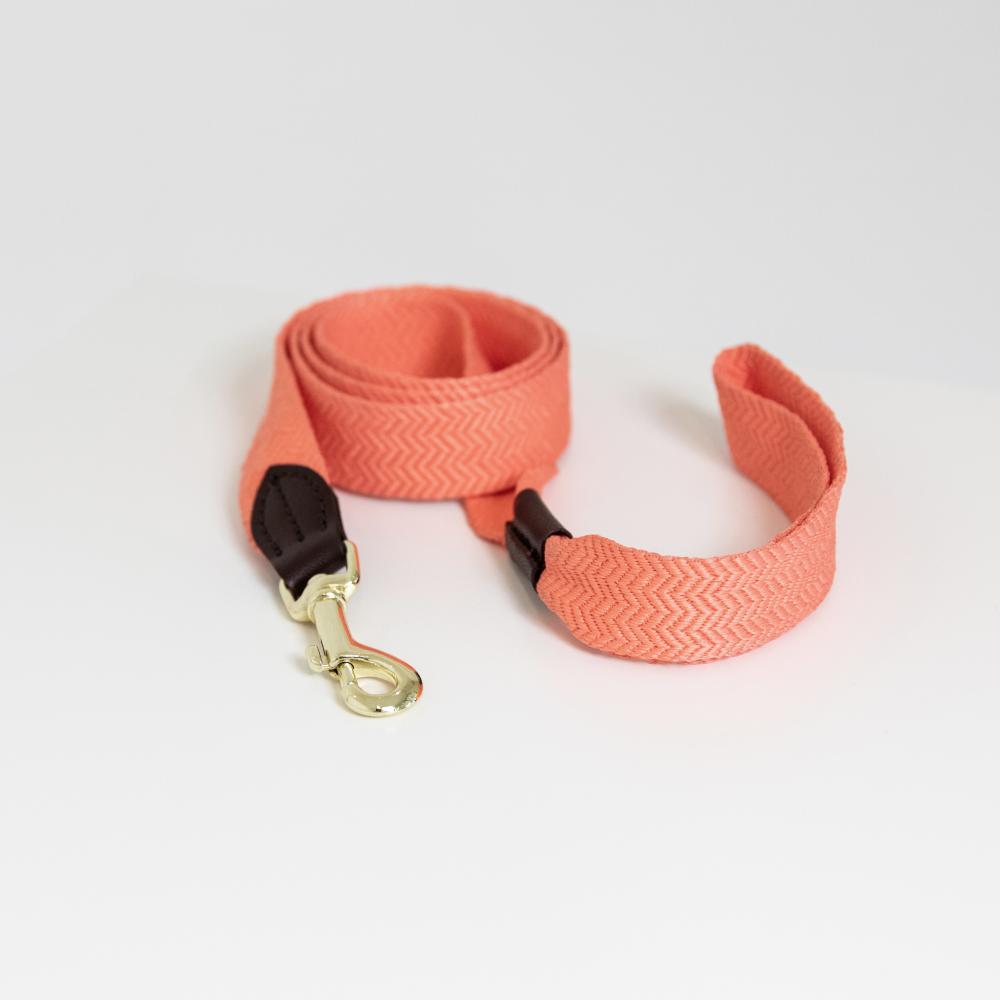 KENTUCKY® DOGWEAR Hundeleine Jacquard 140 cm, neon orange