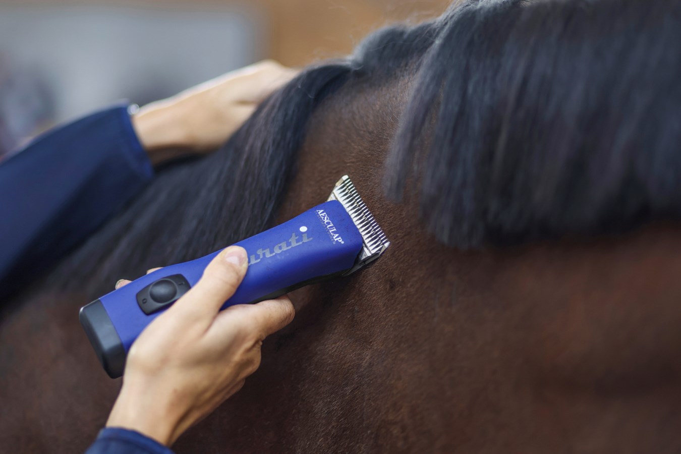 Blaue AESCULAP Akkuschermaschine Durati Horse mit Scherkopf im Einsatz am dunklen Fell eines Pferdes.