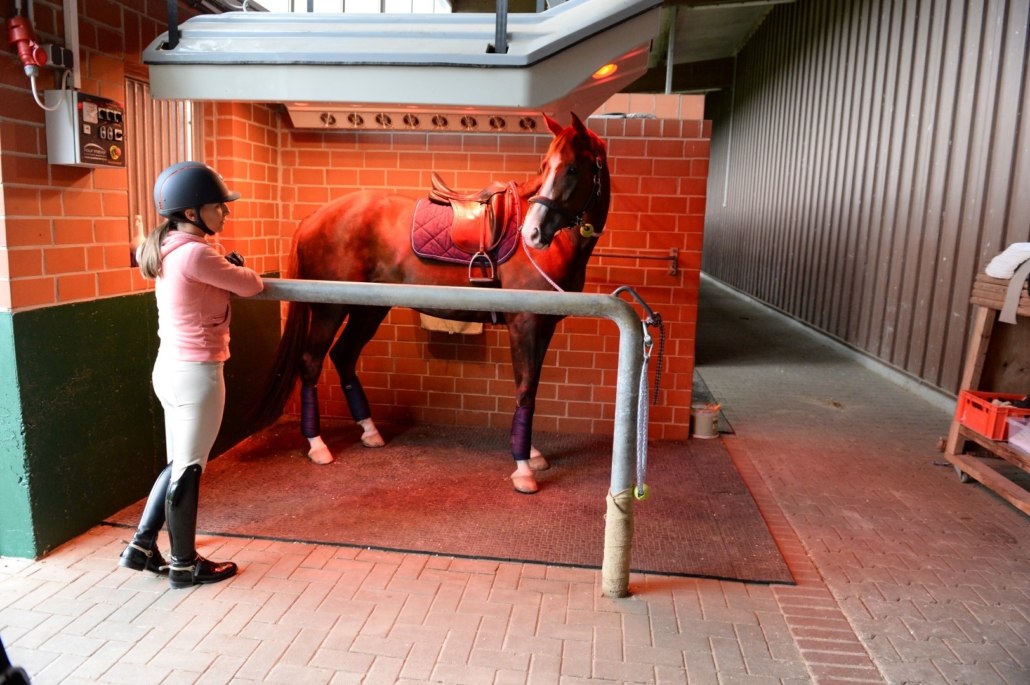 SUMMERWIND Pferdesolarium Premium Reiterin bei ihrem gesattelten Pferd unter dem roten Licht des SUMMERWIND Premium Pferdesolariums in einem Stall.