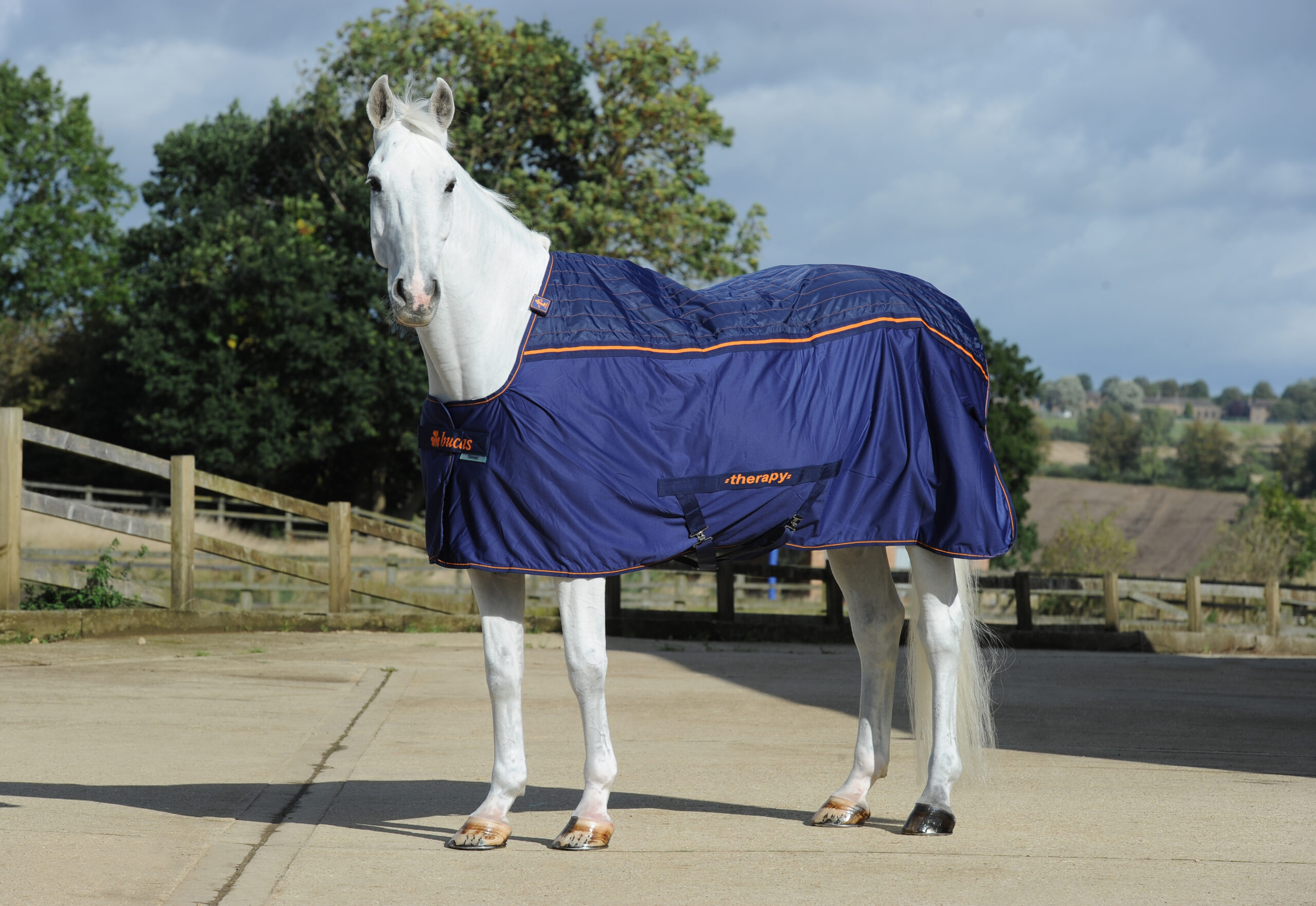 BUCAS Therapy Cooler