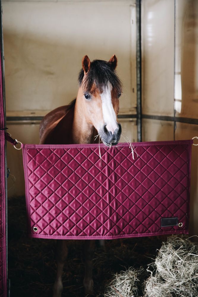 KENTUCKY® HORSEWEAR Stable Guard, bordeaux