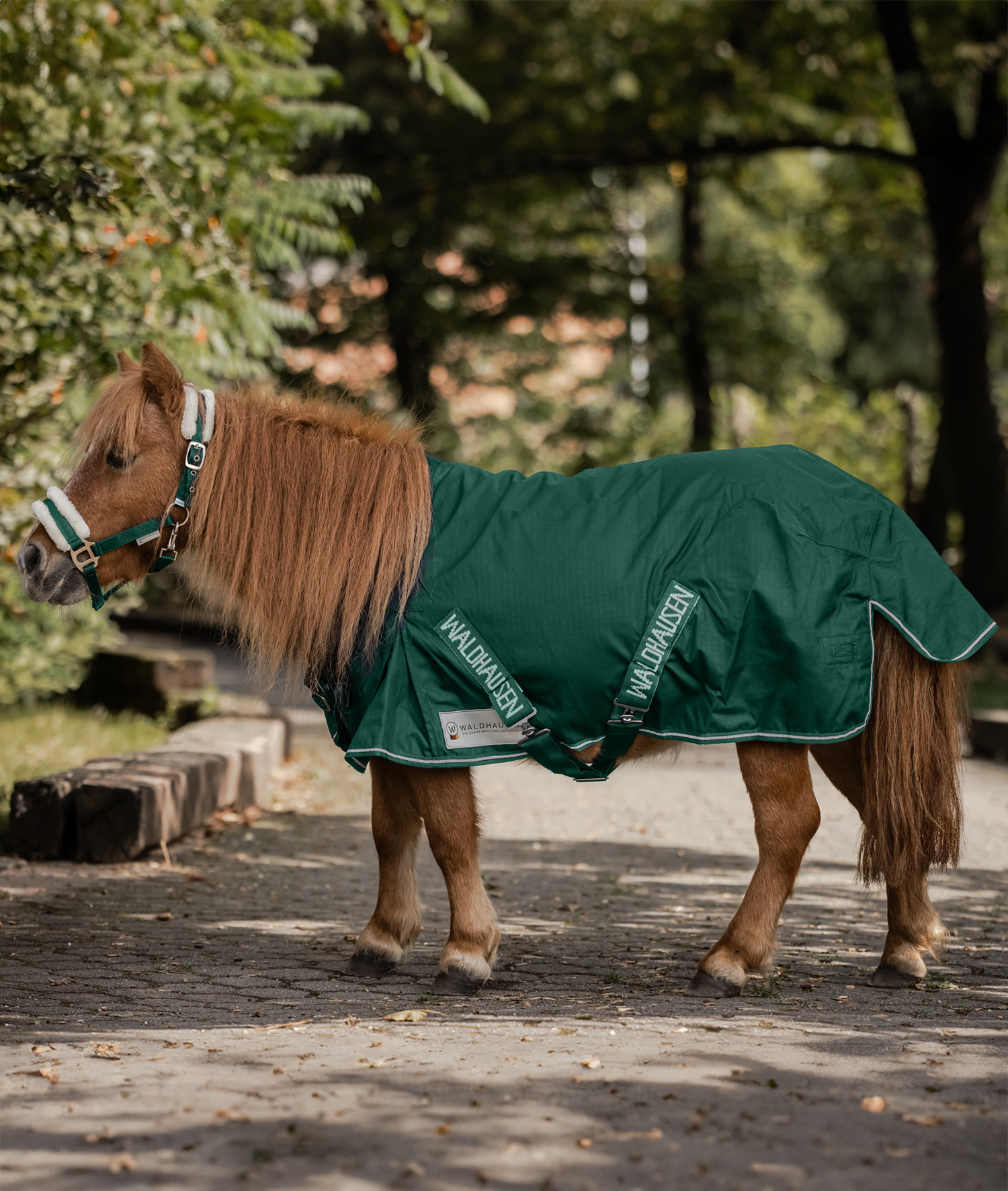 WALDHAUSEN Comfort Shetty-Regendecke, tannengrün 