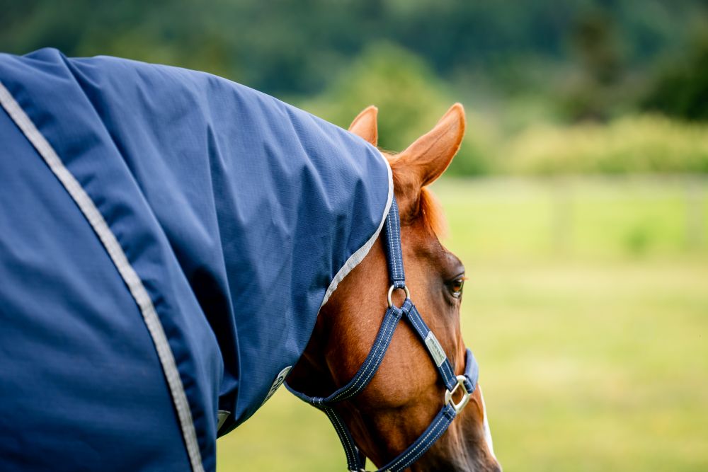 HORSEWARE® Amigo® Ripstop 900 Hood, 0 g, navy/titanium 