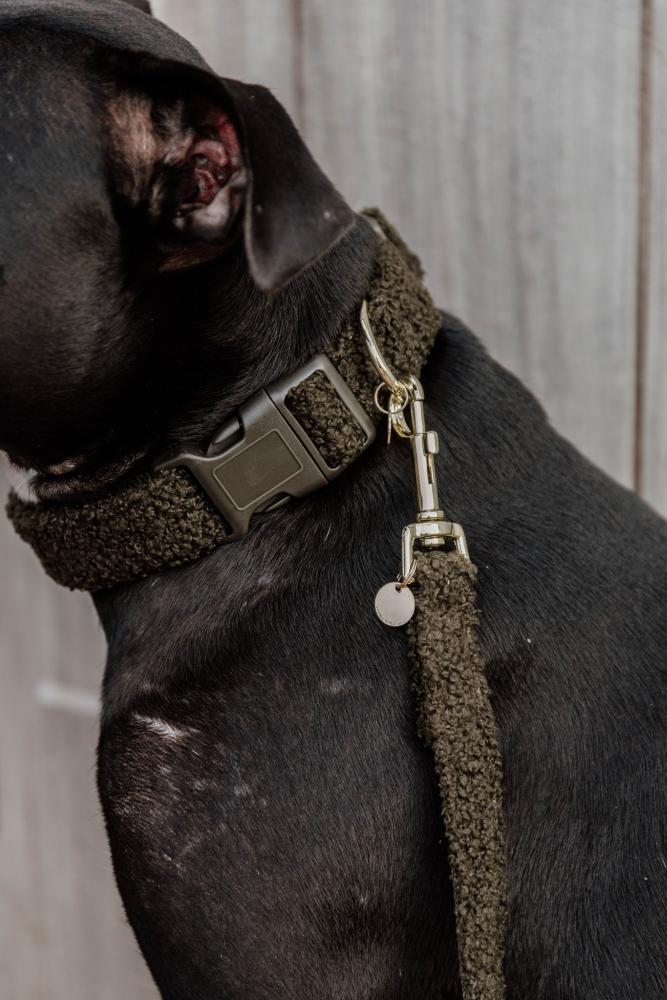 KENTUCKY® DOGWEAR Hundehalsband aus Teddyfleece, tannengrün