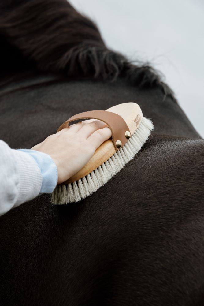 KENTUCKY® GROOMING DELUXE Overall Brush Body Shine