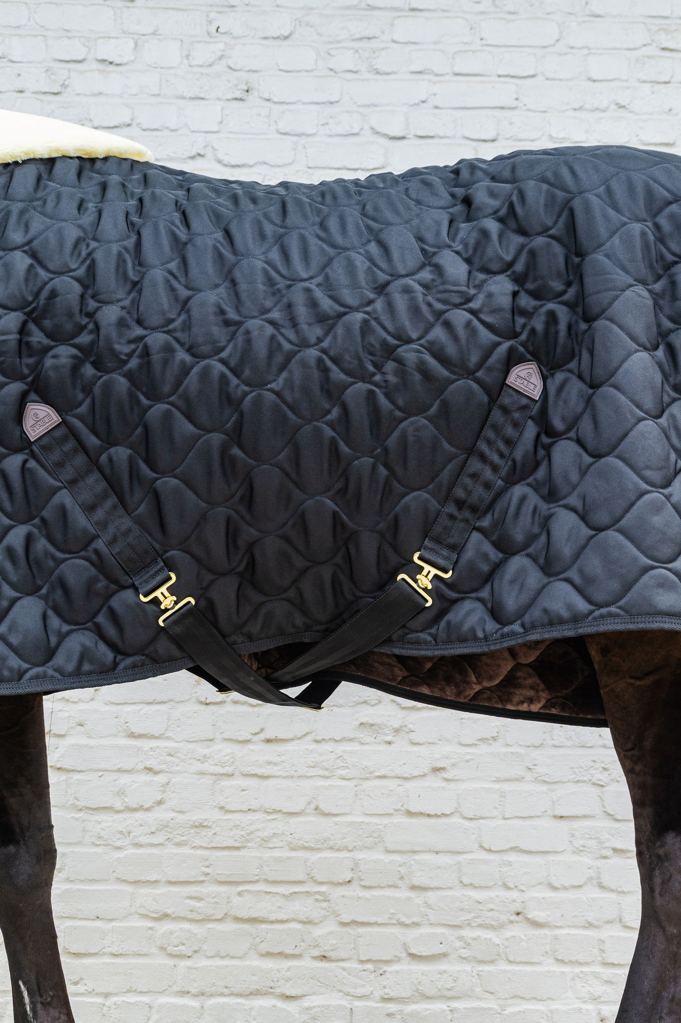 KENTUCKY® HORSEWEAR Stalldecke Comfort 300 g, schwarz Schwarze Stalldecke Comfort mit Wellensteppung und weichem Widerristpolster, Seitenansicht mit Kreuzgurten am Pferd.