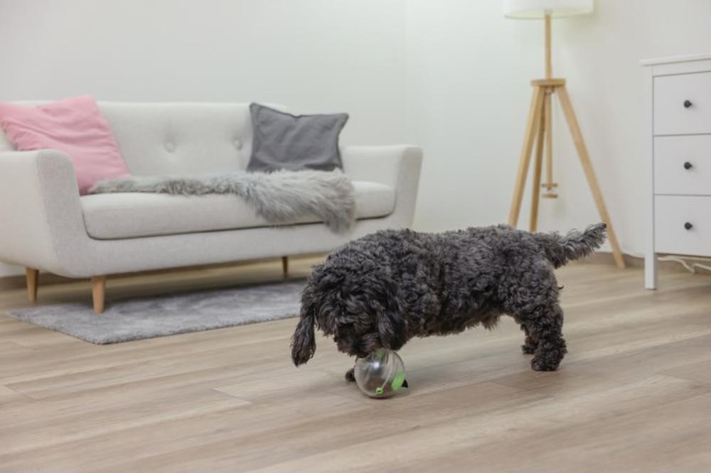 KERBL Multifeeder Basis für Hunde und Katzen