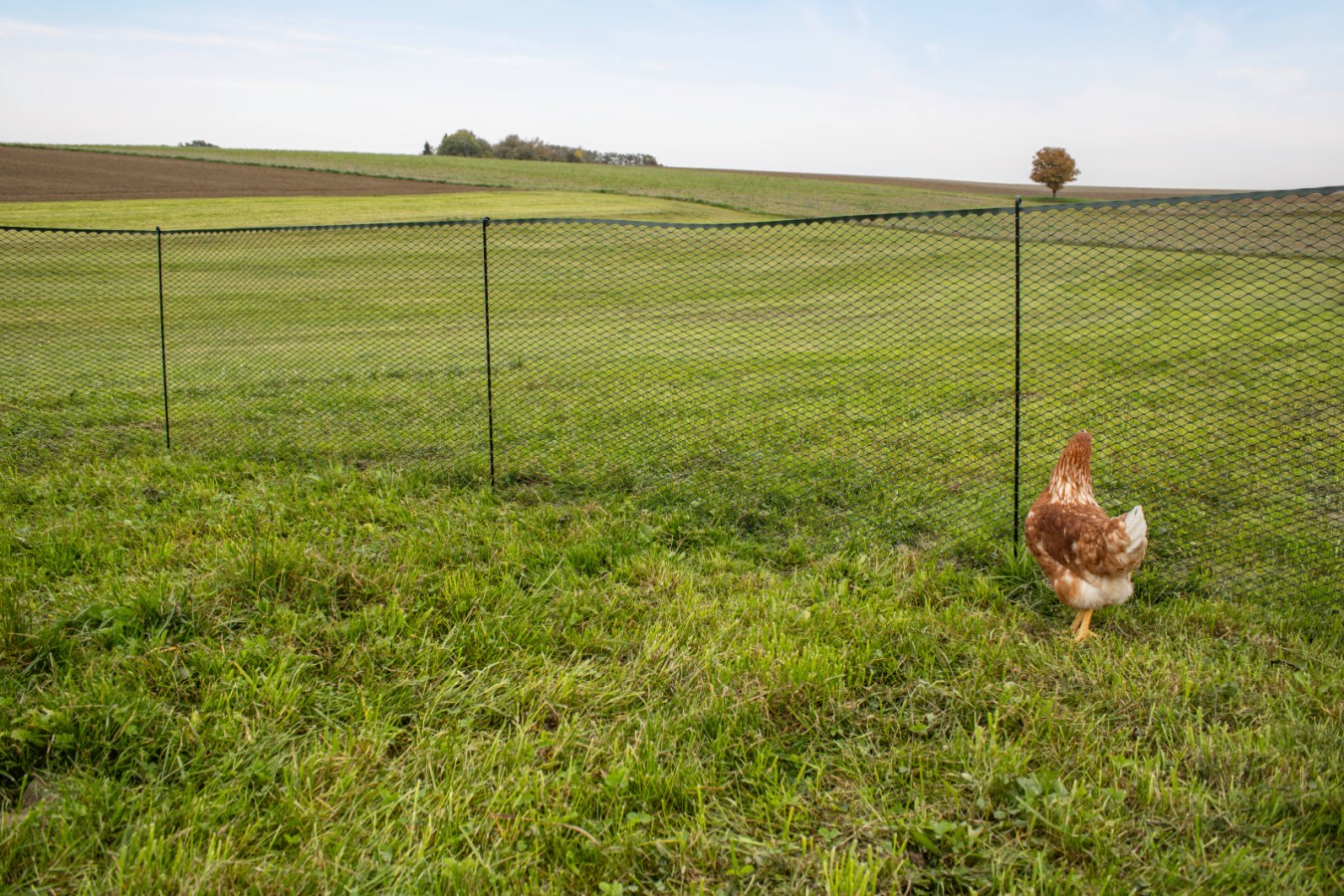 KERBL Universalzaun MultiFence