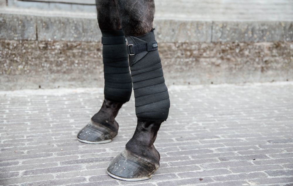 KENTUCKY® HORSEWEAR Polar Fleece- und Elastik-Bandagen, 2 er-Set, schwarz