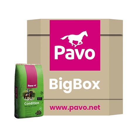 PAVO Condition BigBox