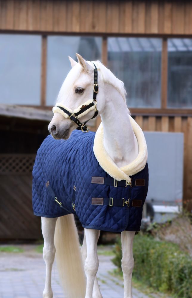KENTUCKY® HORSEWEAR Turnierdecke, marine