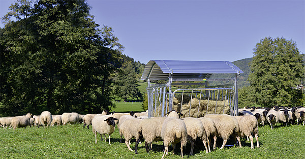 PATURA Viereckraufe für Ziegen & Schafe