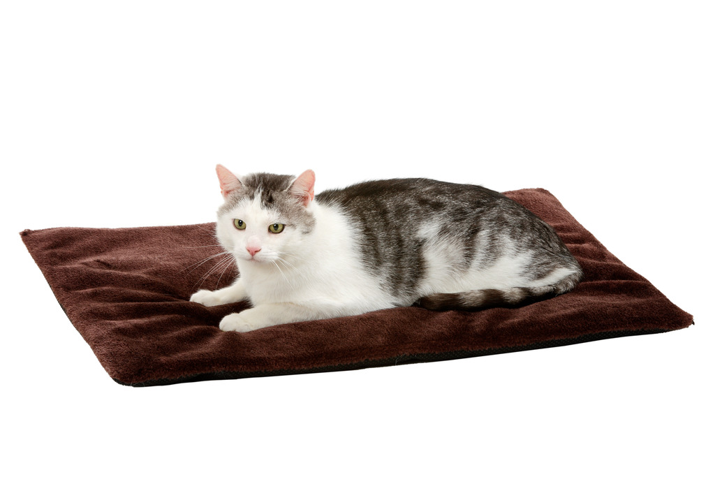 Thermo Top Hundedecke