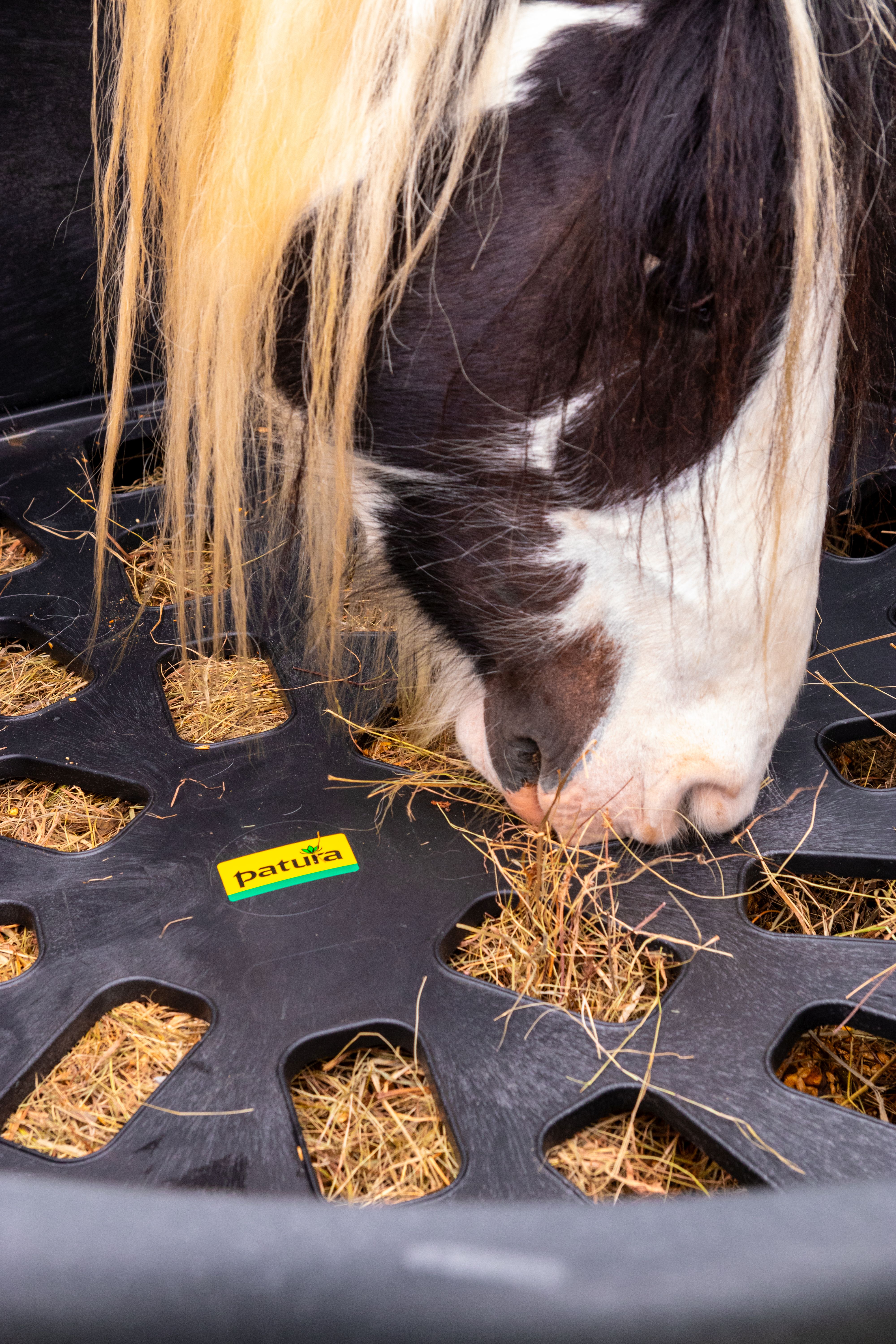 PATURA Kunststoff-Futterring Slow-Feeder