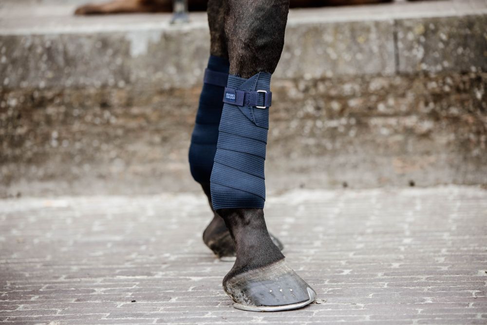KENTUCKY® HORSEWEAR Elastik-Bandagen, 2 er-Set, marine
