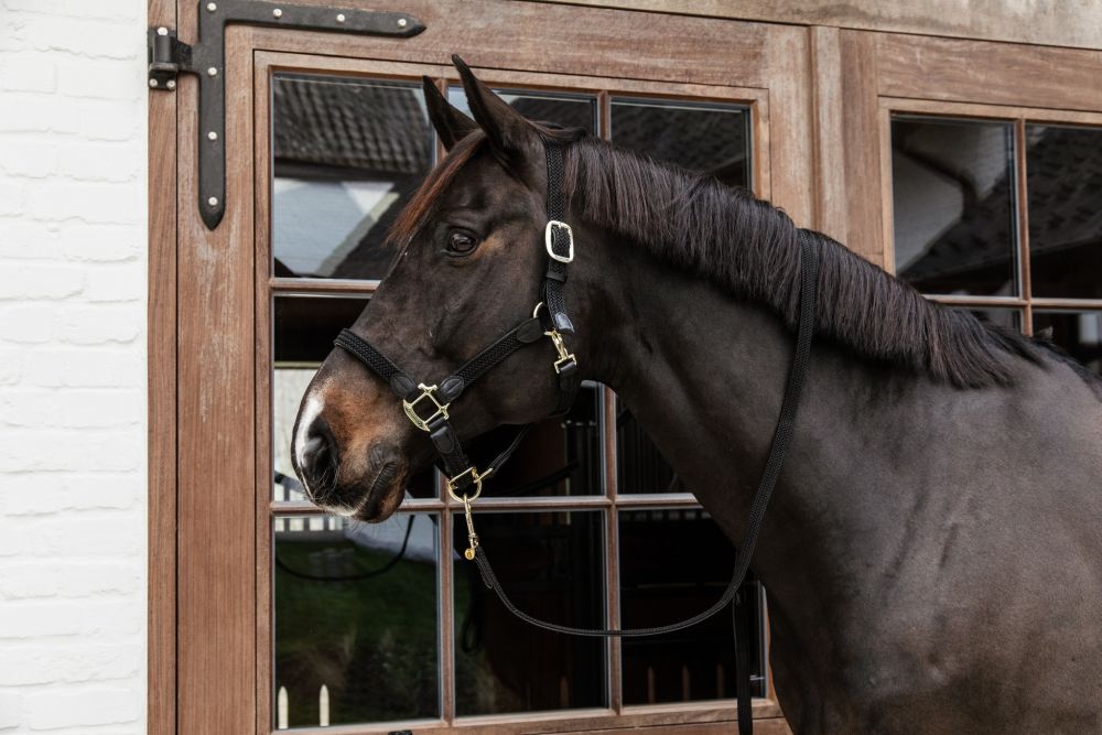 KENTUCKY® HORSEWEAR geflochtenes Nylon Halfter, schwarz