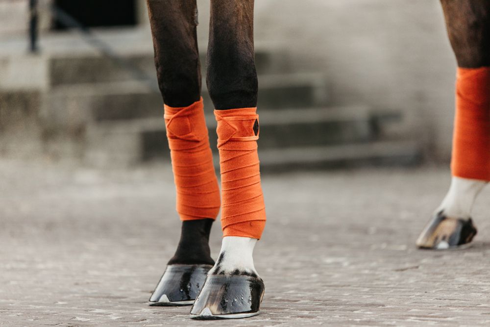 KENTUCKY® HORSEWEAR Fleecebandagen Velvet, 4er-Set, orange
