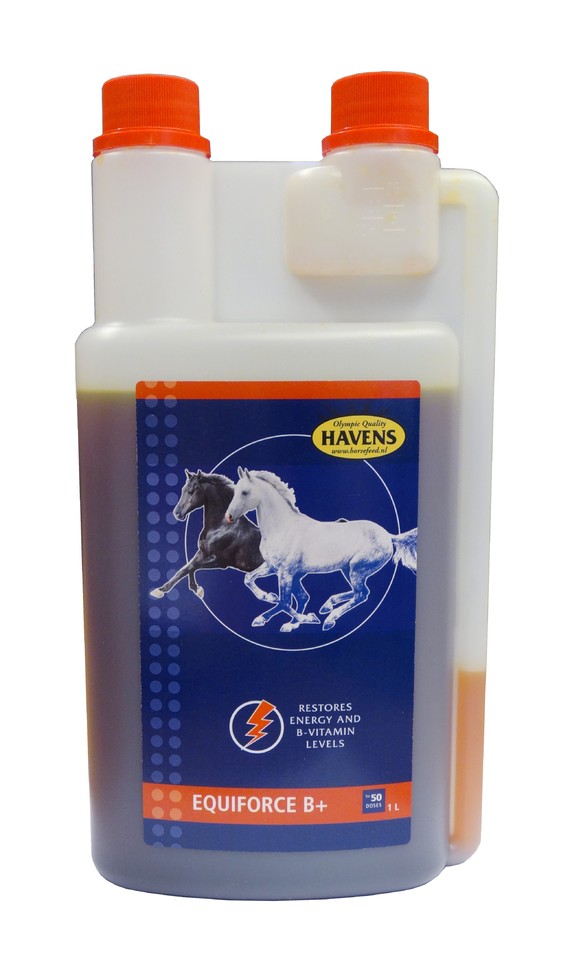 HAVENS EQUIFORCE B+ Liquid