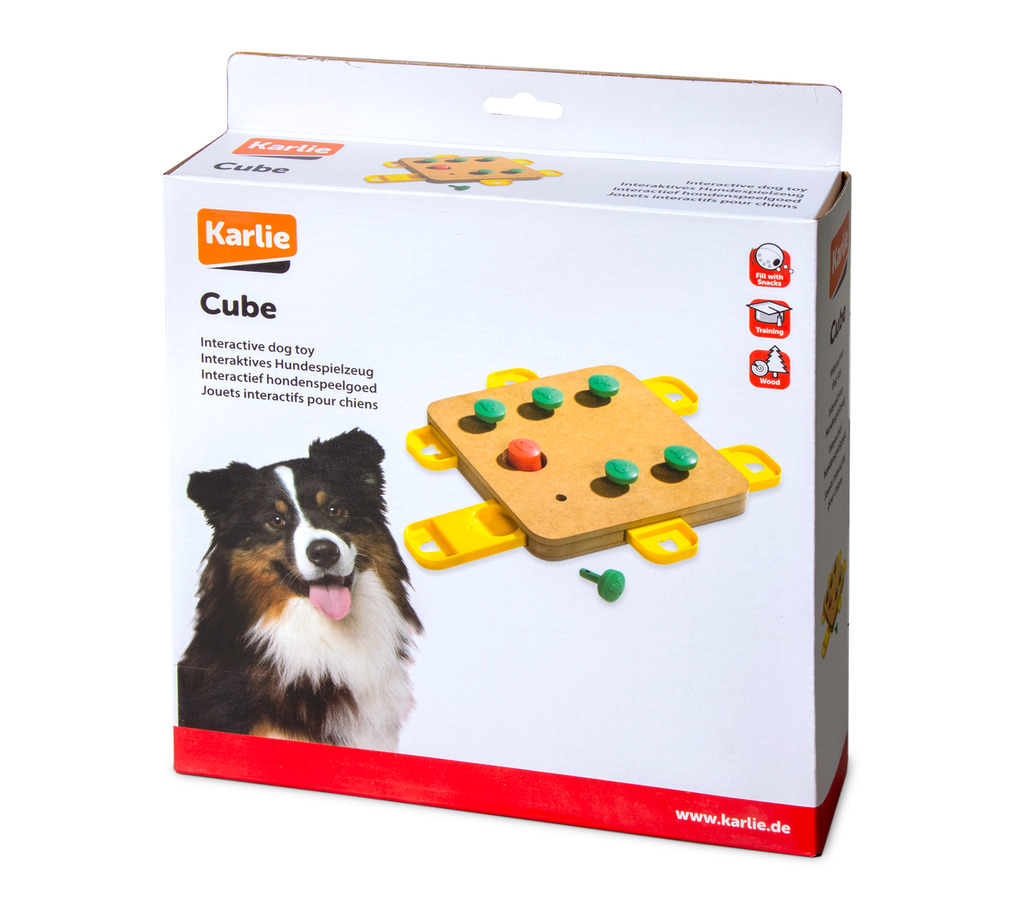Brain Train Cube